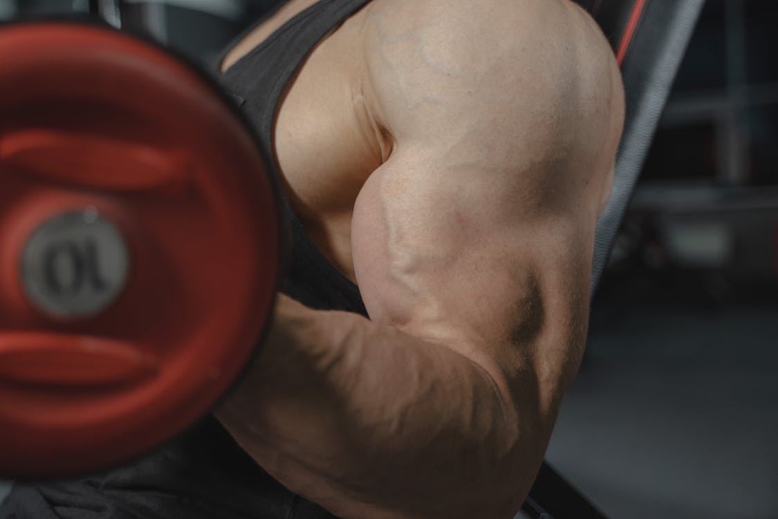 How to Build Muscle: A Science-Based Guide for Australian Bodybuilders — Au-Roids Guide